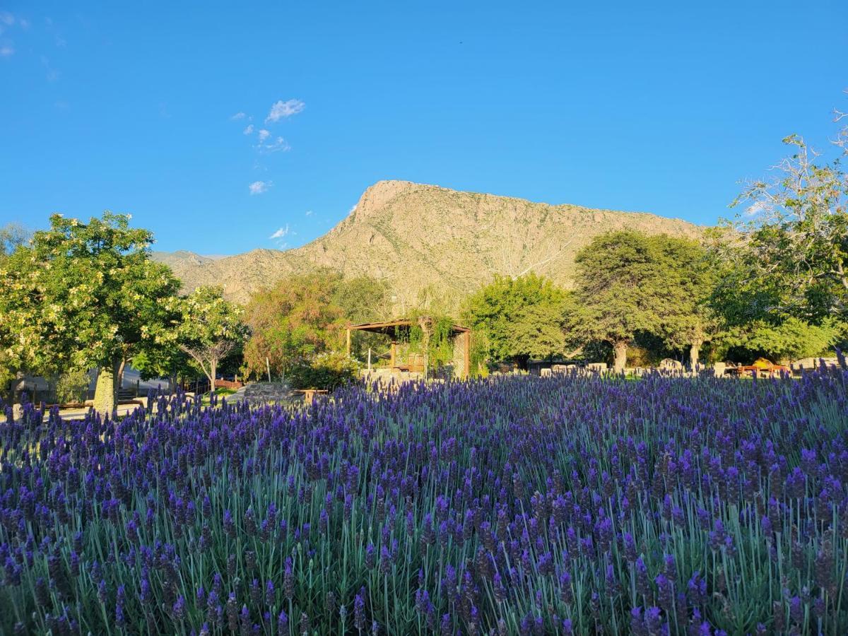 Chalet Casas Malbec -viñedos De Cafayate