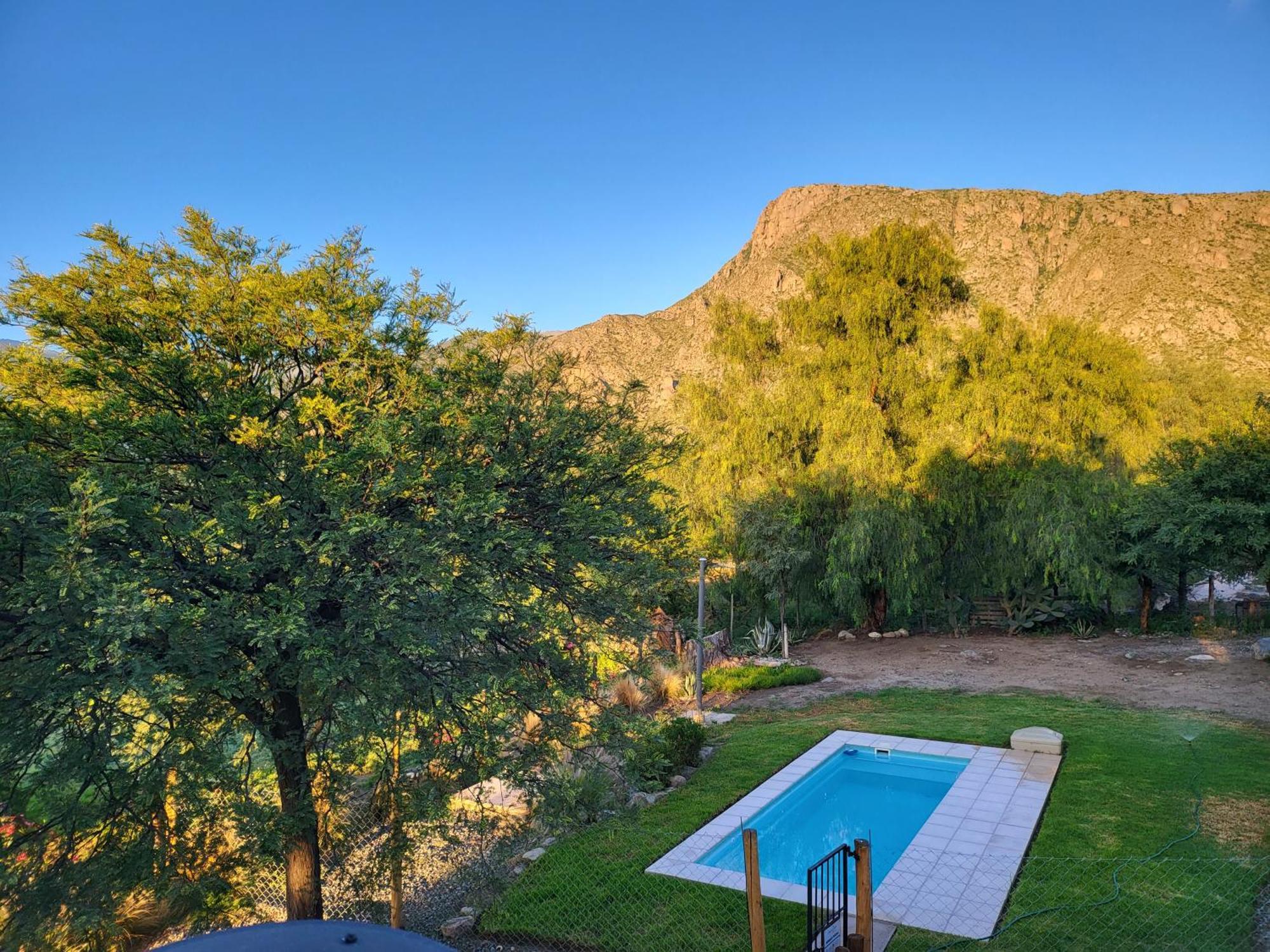 Chalet Casas Malbec -viñedos De