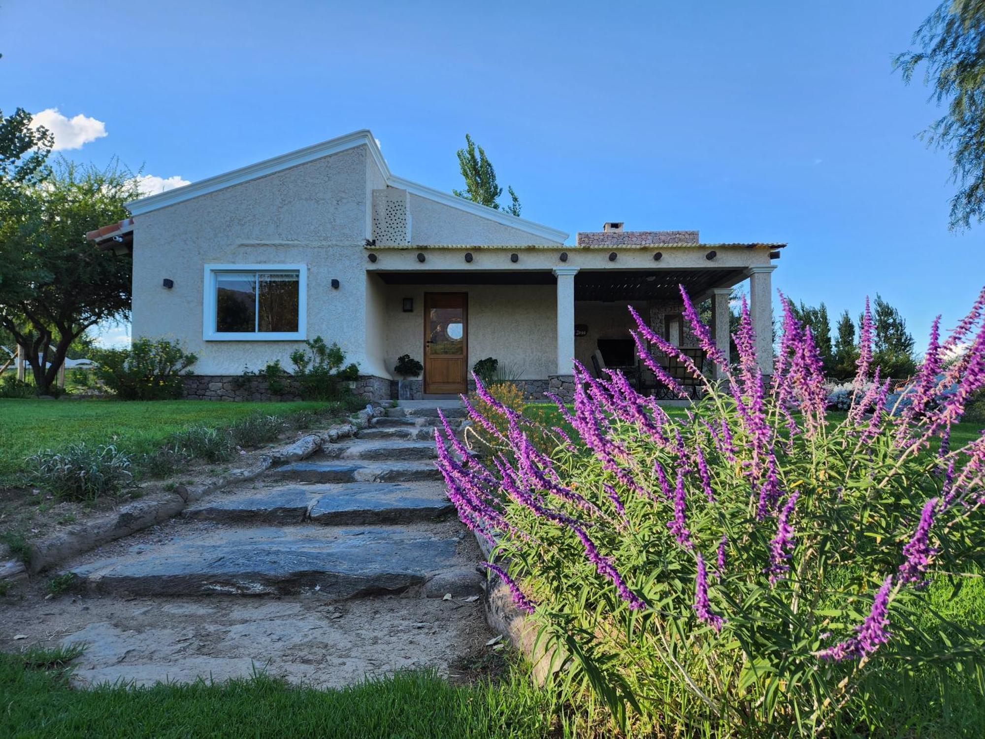 Casas Malbec -viñedos De Chalet *