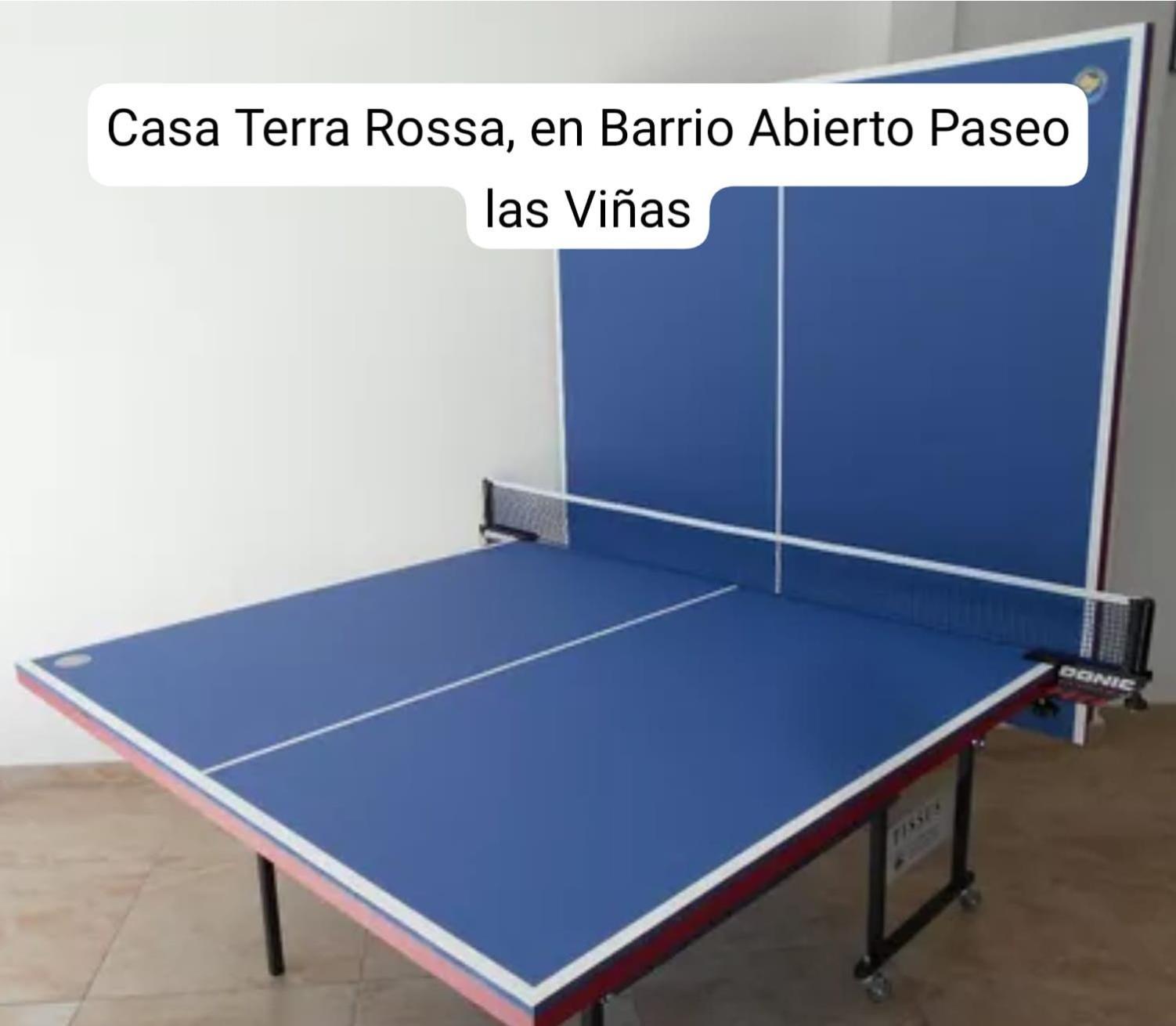 Casas Malbec -viñedos De