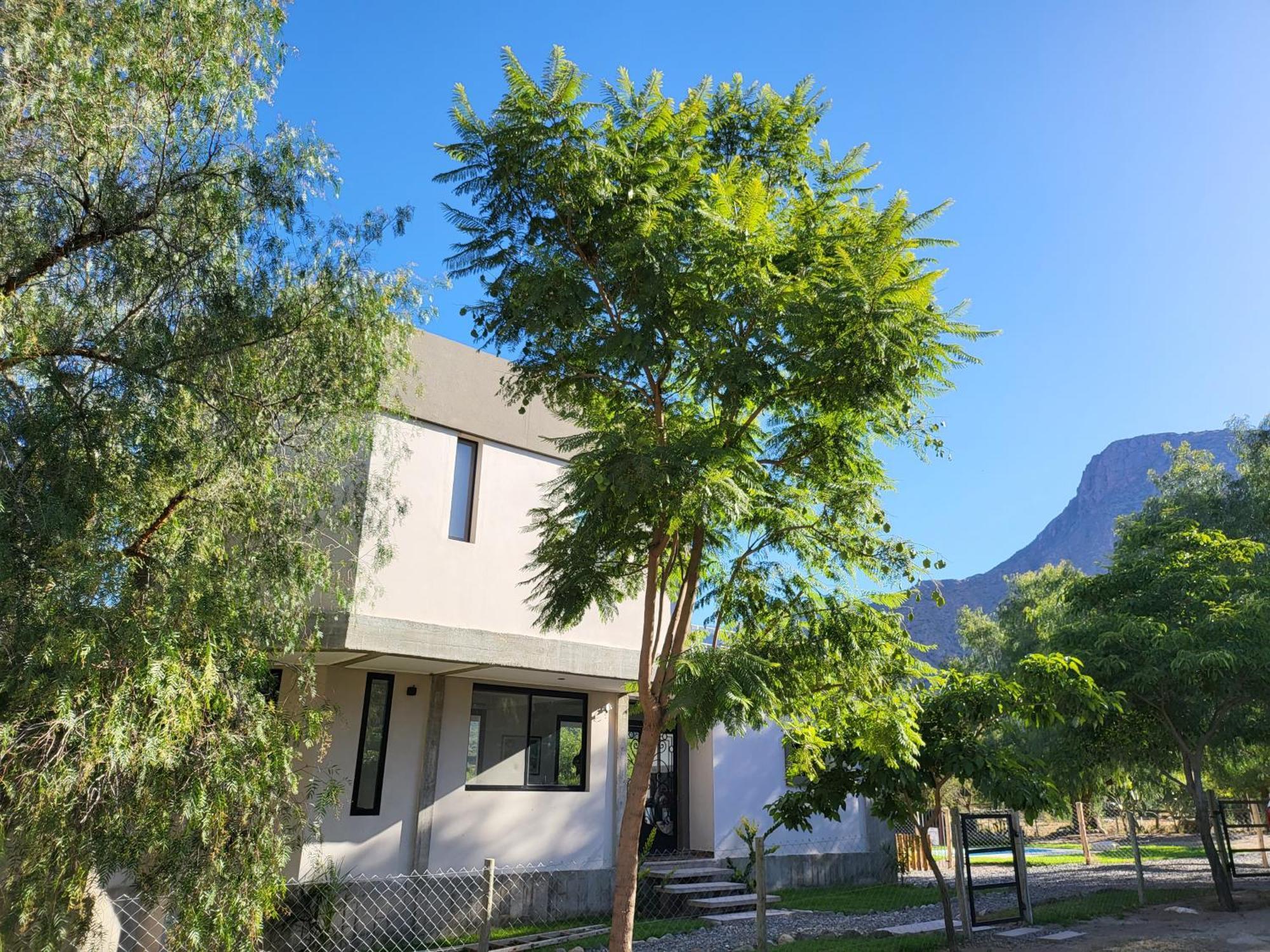 Casas Vinedos De Chalet Cafayate
