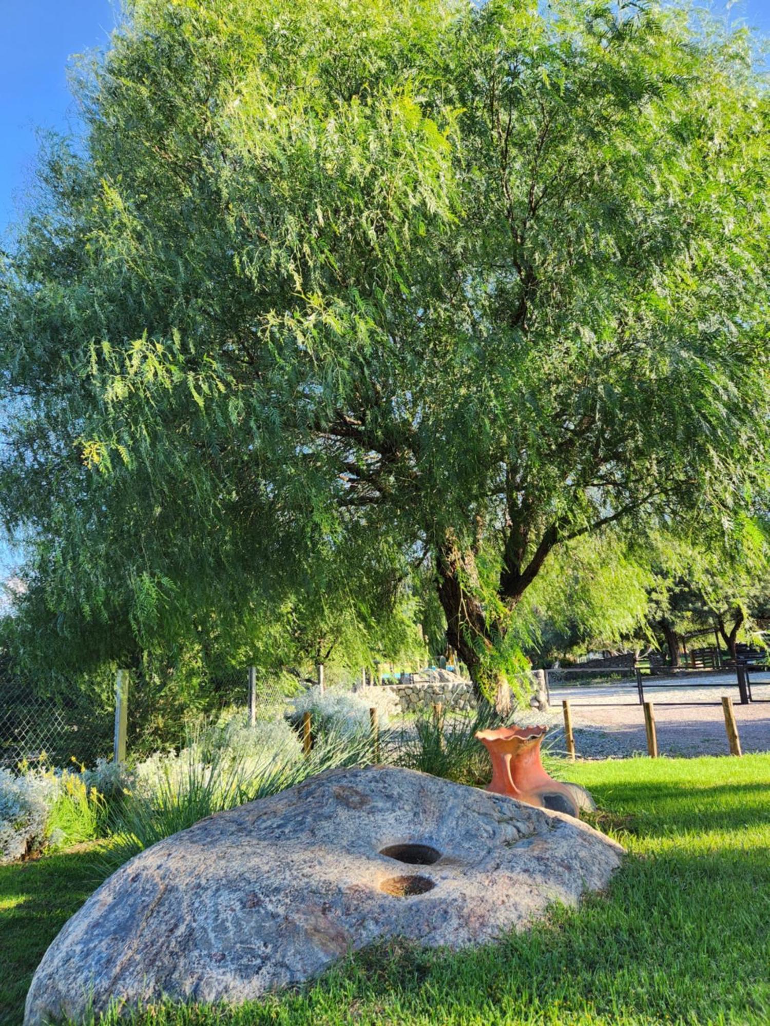 Casas Vinedos De *