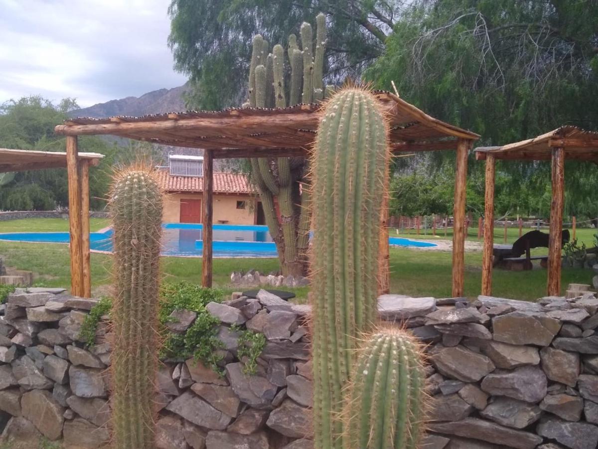Chalet Casas Vinedos De Cafayate